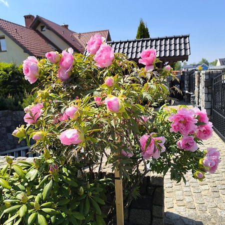 Pokoje Goscinne Weronika Puck Exteriör bild